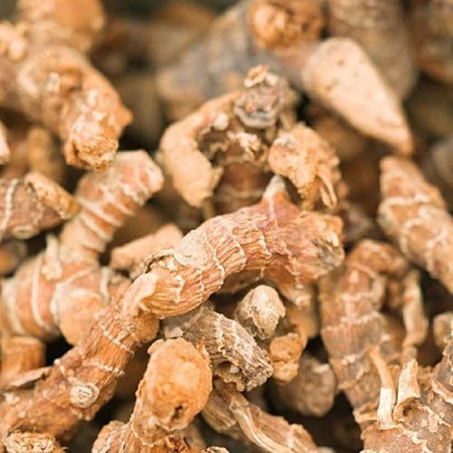 MY GOD GIFT Organics Chitharathai/Kulanjan/PAAN JADD/PAN JAD/Lesser Galangal/Alpinia Officinarum/Sitharathai/Herbals Premium Organic Quality(100g)
