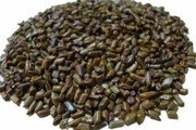 MY GOD GIFT Panwar Seeds | Boerhavia Diffusa Seeds | 100% Pure & Natural Ayurvedic Herb – II 400grams