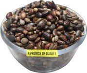 MY GOD GIFT Arandi Beej | Castor Seeds | Ricinus Communis | 100% Pure & Natural II 400grams