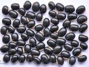 MY GOD GIFT Beej Kaunch Kala | Mucuna Pruriens Black Seeds | 100% Pure & Natural Ayurvedic Herb for Vitality &ndash; II Pack of 2(400grams)