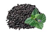 MY GOD GIFT Babchi Seeds | Bakuchi | Psoralea Corylifolia | 100% Pure & Natural Ayurvedic Seeds &ndash; II Pack of 2(400grams)