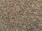 MY GOD GIFT Safad Jeera | White Cumin Seeds | 100% Pure & Natural &ndash; II 400grams