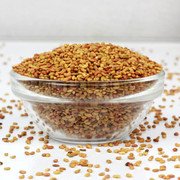 MY GOD GIFT Alfalfa Beej | Alfalfa Seeds | Medicago Sativa | 100% Pure & Natural II 400grams