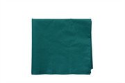 MY GOD GIFT Pooja Aasan/Asan for Puja and Mandir Puja Altar Cloth Printed Pooja Chowki Assan Mat for Mandir (1x1 Meter) / (100X100 CM) (Teal Green) Comb 3
