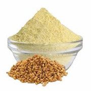 MY GOD GIFT Methi Powder | Fenugreek Powder | 100% Pure & Natural – II 400grams