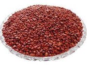MY GOD GIFT Muli Beej | Radish Seeds | 100% Pure & Natural – II 200grams