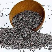 MY GOD GIFT Kali Sarso | 100% Pure & Natural Black Mustard Seeds – 50g II 400grams