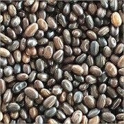 MY GOD GIFT Indrayan Beej | Colocynth Seeds | 100% Pure & Natural Ayurvedic Herb II 200grams
