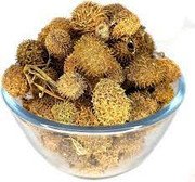 MY GOD GIFT Bindal Dode | Butea Monosperma Pods | 100% Pure & Natural Ayurvedic Herb | Traditional Wellness & Herbal Use – 400 Grams